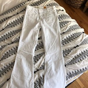 Pilcro Jeans